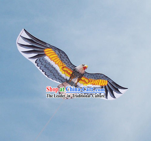 Chinese Traditional Weifang Hand Painted and Made Kite - Bald Eagle
