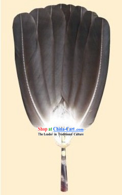 Rare Hawk Feather Fan