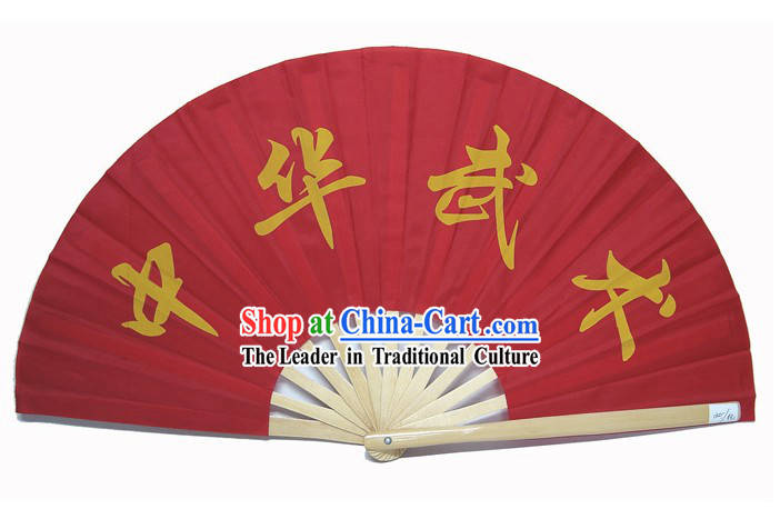 Chinese Kung Fu Teacher Fan