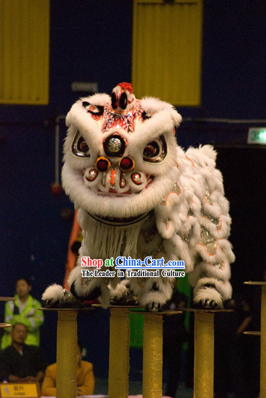 Gallery Display and Collection Lion Dance Equipment Complete Set