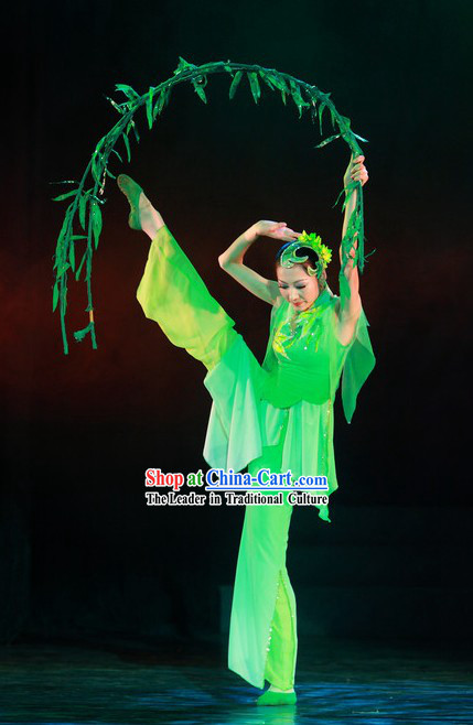 Green Willow Leaf Dance Costume