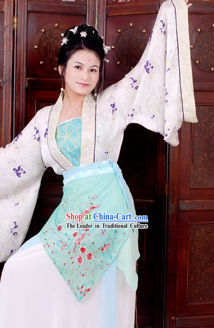 Chinese Classical Solo Dance Embroidered Birds Costume