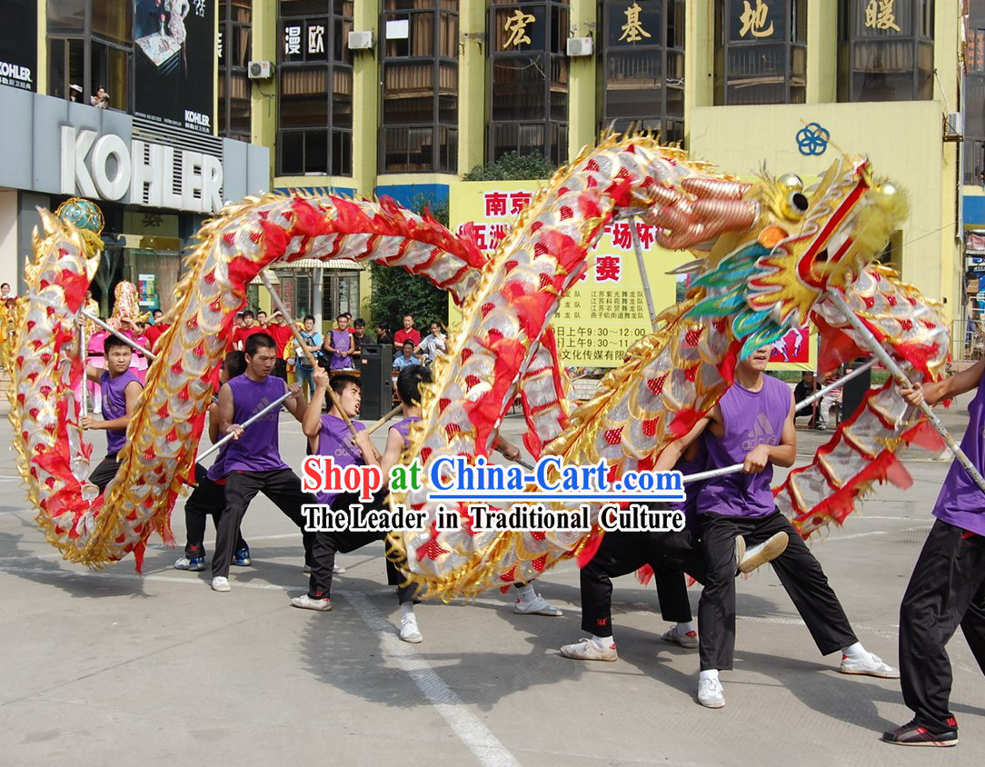 Classical Net Dragon Dance Costumes Complete Set