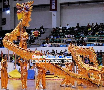 Traditional Golden Net Dragon Dance Costume Complete Set