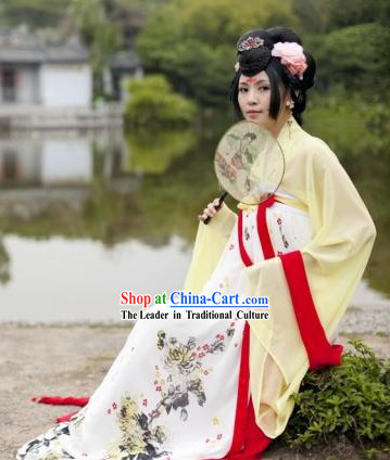 Ancient Chinese Tang Dynasty Palace Lady Costume