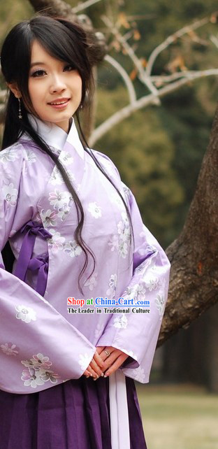 Ancient Chinese Ming Dynasty Ruqun Clothing for Women