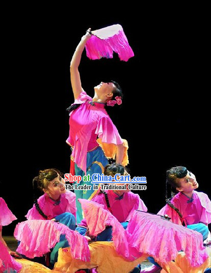 Traditional Chinese Butterfly Fan Folk Dance Costumes for Women