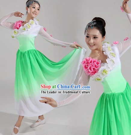 Chinese Stage Performance Modern Dance Costumes and Headwear for Women