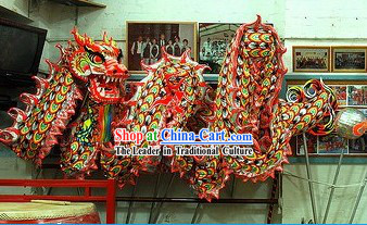 Top Luminous Dragon Dance Costume for 9-10 People