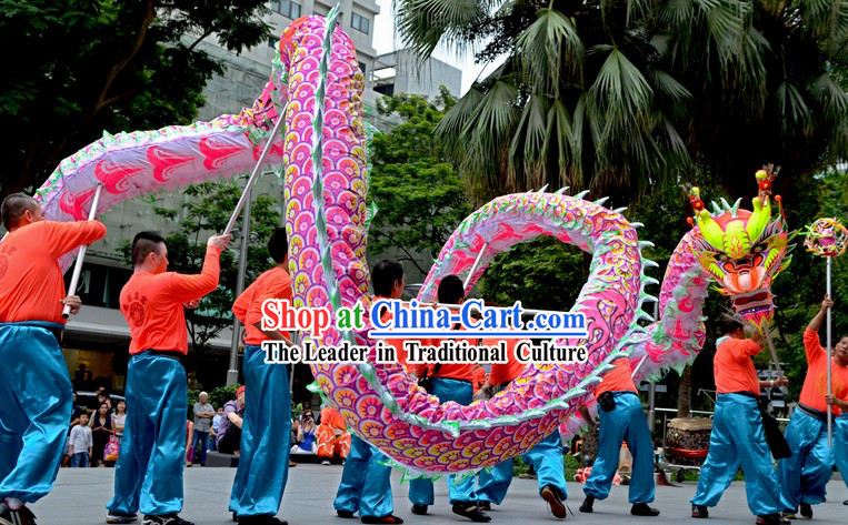 College Illuminated Dragon Dance Costume for 9-10 Students