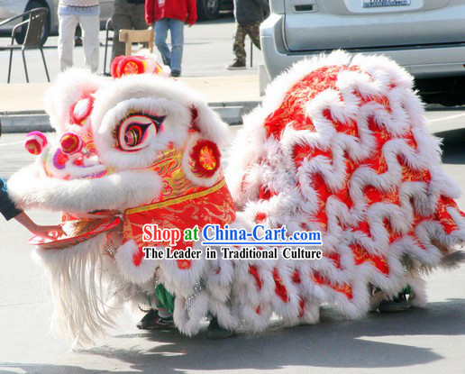 Phoenix Pattern Lion Tail and Head Costume Complete Set