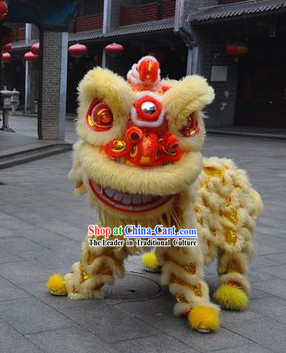 Top Professional Lion Dance Costume Complete Set for Two Men