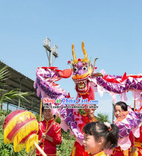 6 Meters Purple Beijing Dragon Dance Costume for Five or Six Kindergarden Children