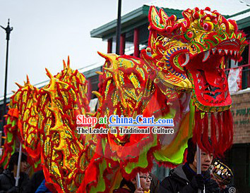 Competition and Parade Gold Dragon Dance Costume Complete Set