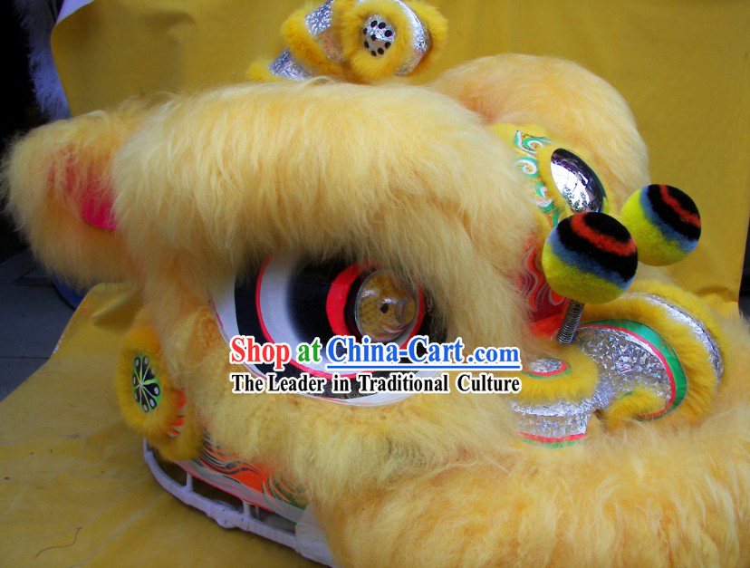Professional Competition and Performance Lion Dance Costumes Complete Set for School Children