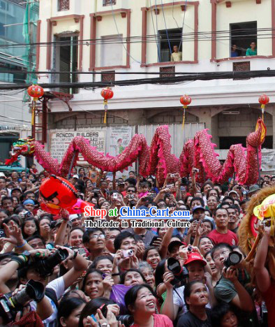 Traditional Chinese Luminated Dragon Dance Costumes Complete Set