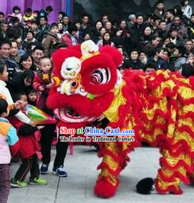 Red and Gold Competition and Performance Lion Dance Costumes Full Set