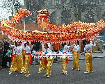 Professional Luminous Dragon Dance Championship Costumes Complete Set