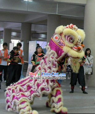 Tiger Stripes Festival Ceremony Top Lion Dance Costumes Complete Set