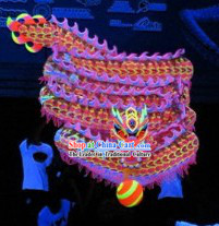 Professional Luminous Dragon Dance Music and Costume Complete Set