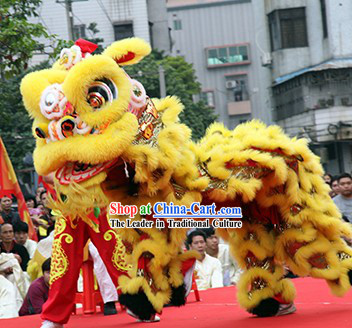 Supreme Asian Competition and Parade Lion Dance Costume Complete Set