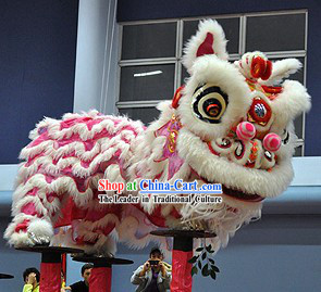 Beautiful Friendly Pink and White HOK San Lion Dance Head and Costume Complete Set