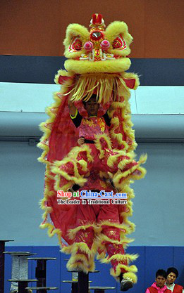 Top Friendly and Powerful Hand Made and Painted Lion Dance Head and Costumes Complete Set