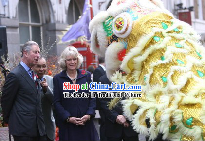 Important Ceremony Performance Lion Dance Costumes Complete Set