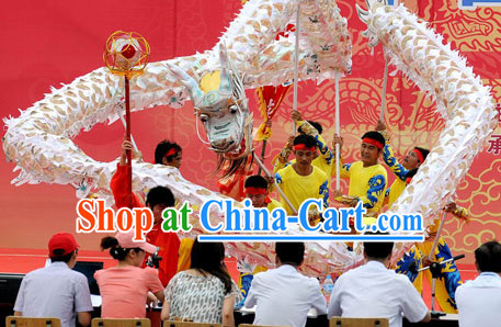 Silver Net Dragon Dance Costume Complete Set