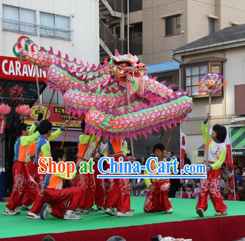 NEW Southern Luminous Dragon Masks Costumes for 8 People