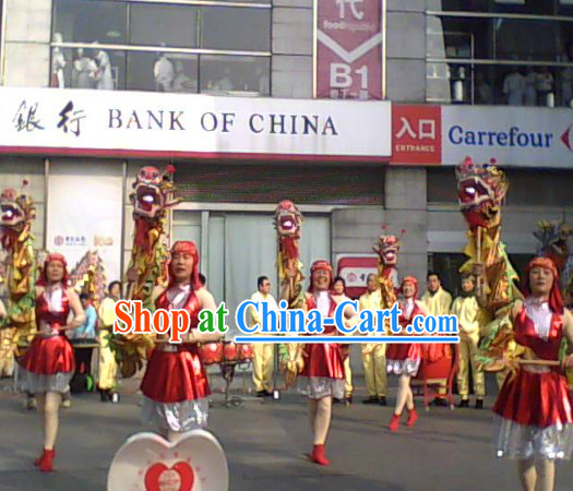 Chinese New Year Parade Dragon Costume for One Person