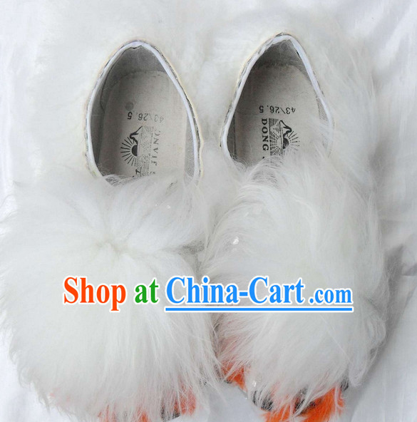 Professional Lion Dance Shoes