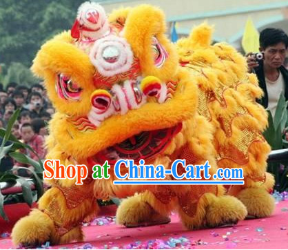 Chinese Festival Lion Costume Complete Set