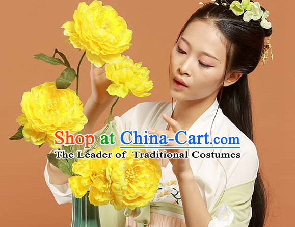 Asian Fashion Chinese Ancient Tang Dynasty Embroidered Cranes Clothes Costume China online Shopping Traditional Costumes Dress Wholesale Culture Clothing and Hair Accessories for Women