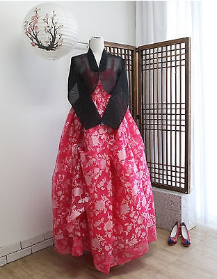 Asian Fashion Korean Hanbok Clothes for Women