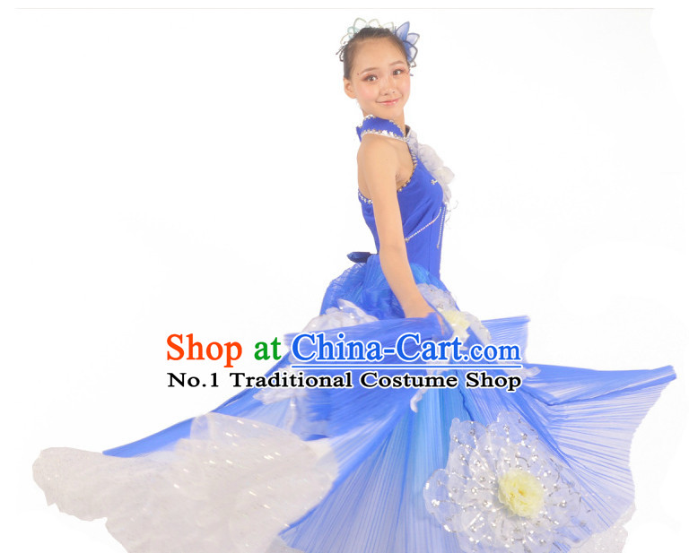 China Dance Costumes Ballerina Costume Burlesque Costumes Salsa Costumes,