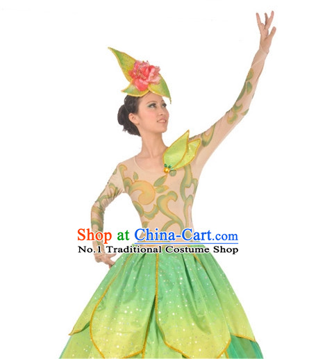 China Dance Costumes Ballerina Costume Burlesque Costumes Salsa Costumes,