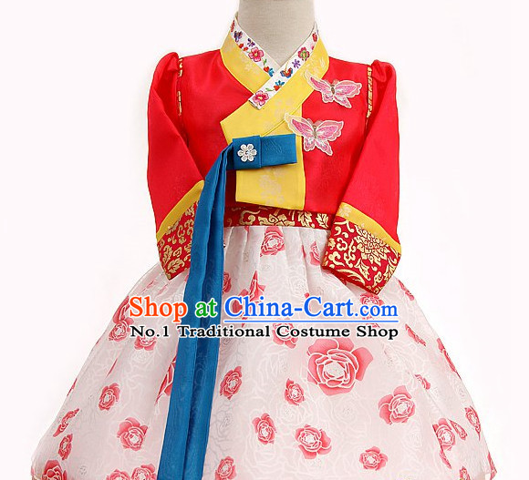 Folk Korean Foral Special Occasion Dress for Children