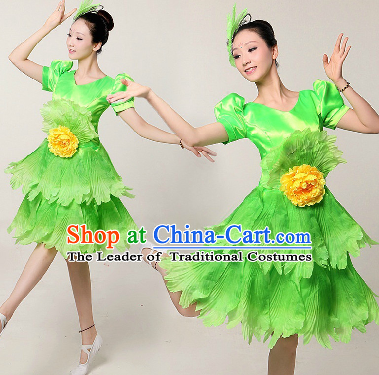 Chinese Stage Dance Costumes Ribbon Dancing Costume Dancewear China Dress Dance Wear and Hair Accessories Complete Set