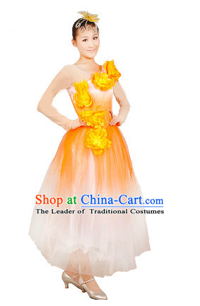 Chinese Stage Dance Costume Ideas Dancewear Supply Dance Wear Dance Clothes Suit and Headpieces Complete Set