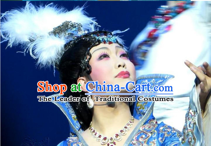 Chinese Wang Zhaojun Wigs and Hair Accessories.