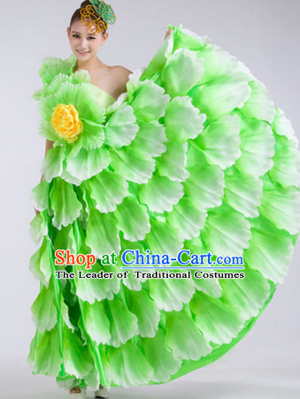 Green Chinese Stage Performance Flower Dancewear Costume and Headdress Complete Set for Women