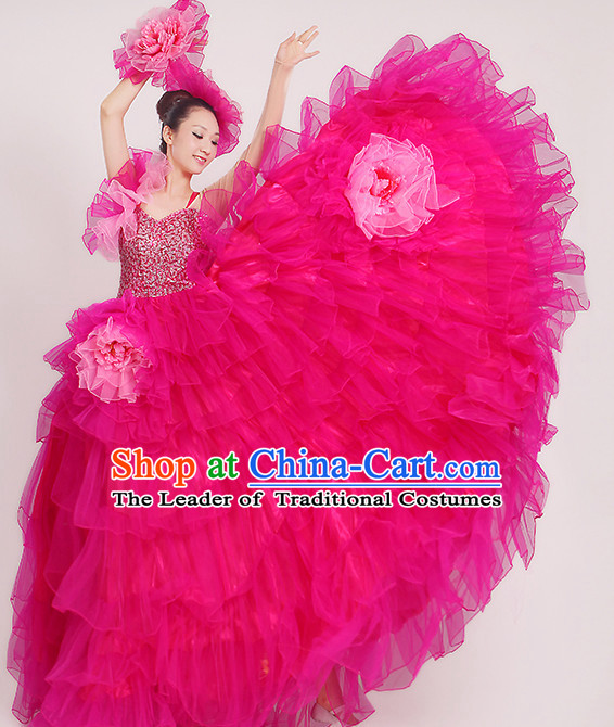 Rose Chinese Dance costume Dance Classes Uniforms Folk Dance Traditional Cultural Dance Costumes Complete Set