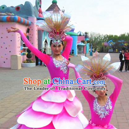 Chinese Classical Folk Dance Dress Clothing Dresses Costume Classic Dancing Cultural Dances Costumes for Women