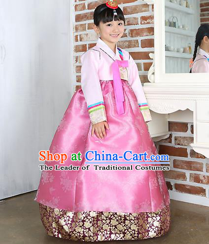 Traditional Korean Handmade Formal Occasions Costume Embroidered Baby Brithday Girls Pink Blouse and Dress Hanbok Clothing