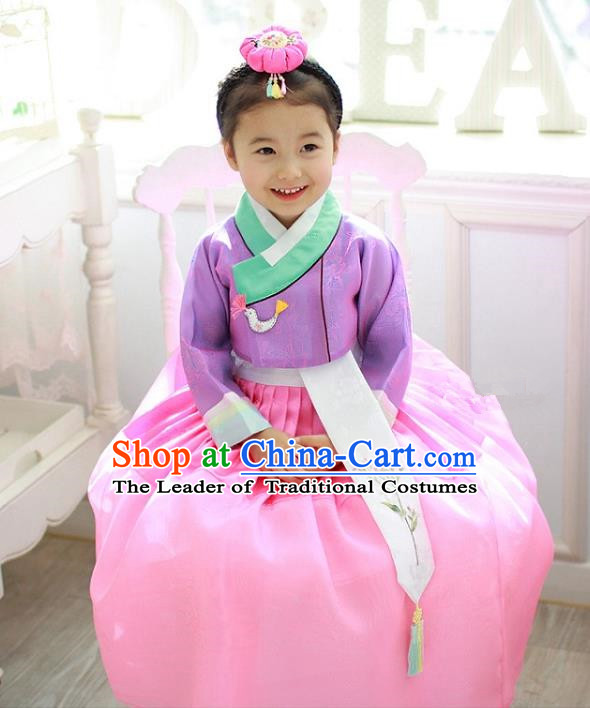Traditional Korean Handmade Formal Occasions Costume Embroidered Baby Princess Purple Blouse and Dress Hanbok Clothing for Girls