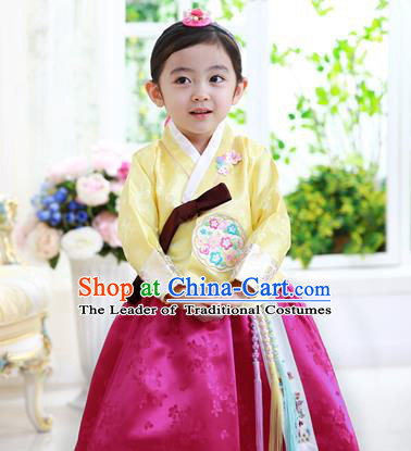 Traditional Korean Handmade Formal Occasions Costume Baby Princess Embroidered Yellow Blouse and Purple Dress Hanbok Clothing for Girls