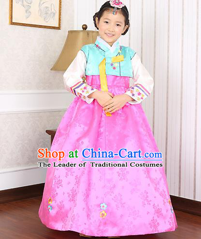 Asian Korean Traditional Handmade Formal Occasions Costume Baby Princess Embroidered Blue Blouse and Pink Dress Hanbok Clothing for Girls