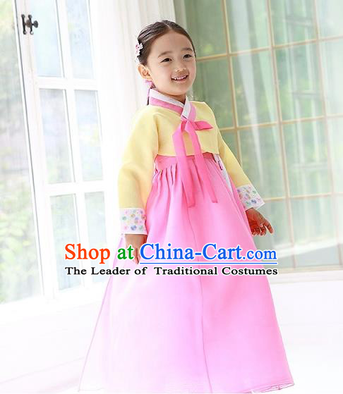 Traditional Korean Handmade Formal Occasions Costume Princess Yellow Embroidered Blouse and Pink Dress Hanbok Clothing for Girls