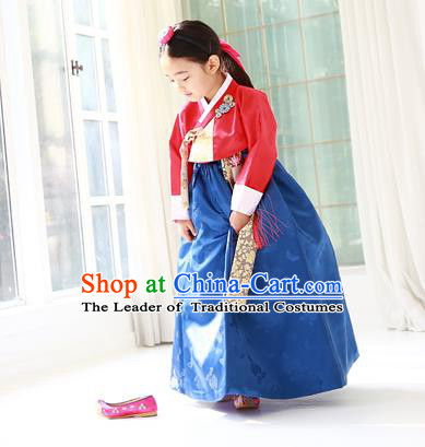 Asian Korean Traditional Handmade Formal Occasions Costume Palace Princess Embroidered Red Blouse and Blue Dress Hanbok Clothing for Girls